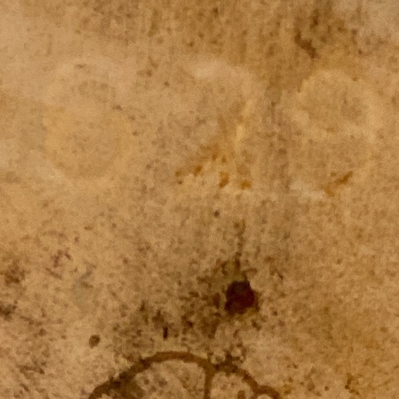 Vintage Pearl 22Kt. Gold blue bird on a tree branch salt & pepper shaker - Picture 6 of 16